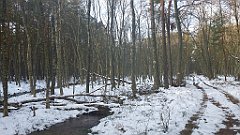 020_0050_3D_P1380383