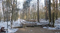 052_0146_3D_P1380410