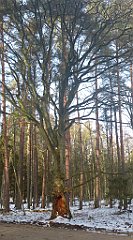 056_0158_3D_P1380414