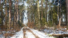 065_0185_3D_P1380424