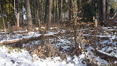 066_0188_3D_P1380425