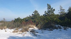 152_0446_3D_P1380463