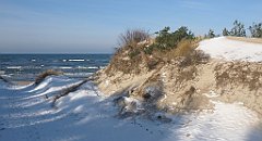 159_0467_3D_P1380467