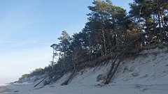 183_0539_3D_P1380480