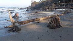 197_0581_3D_P1380491