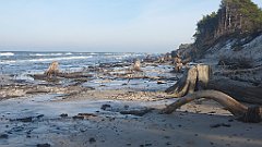 202_0596_3D_P1380496