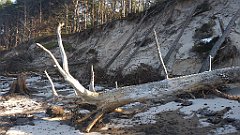 210_0620_3D_P1380503