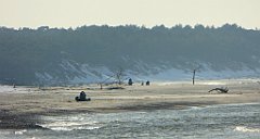 239_0707_FZ72_P1080086