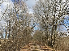 iP_230227_IMG_6616