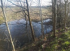 026_p20_IMG_20230406_174358