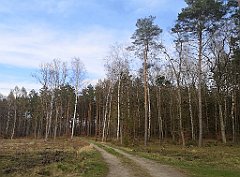 027_p20_IMG_20230414_164122