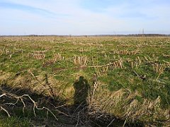 070_p20_IMG_20230414_173915