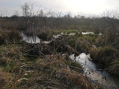 077_p20_IMG_20230414_174802