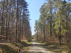 098_p20_IMG_20230423_134209