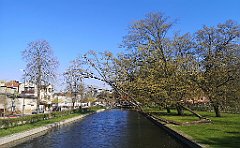 218_p20_IMG_20230423_153200