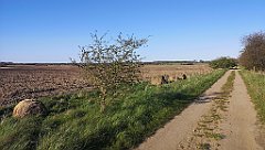 095_p20_IMG_20230427_180548