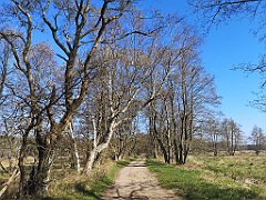 026_p20_IMG_20230430_091939