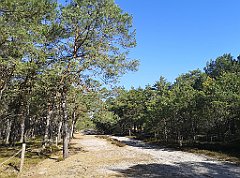 036_p20_IMG_20230430_093709