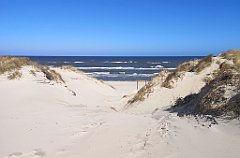 049_p20_IMG_20230430_100012