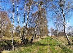 139_p20_IMG_20230430_122332