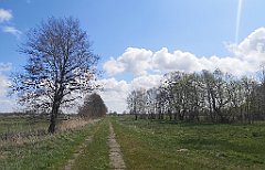 154_p20_IMG_20230430_123519