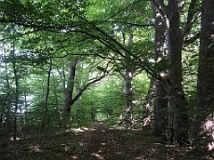 010_iP_230529_IMG_6749