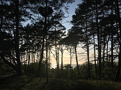 067_iP_230529_IMG_6760