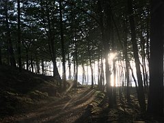 069_iP_230529_IMG_6764