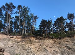 085_iP_230529_IMG_6771