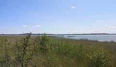 085_p20_IMG_20230602_113220