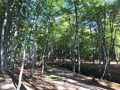 223_iP_230602_IMG_6828