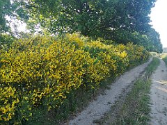 013_p20_IMG_20230608_080511