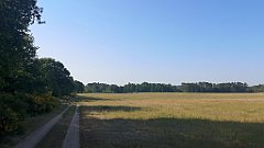 035_p20_IMG_20230608_081237