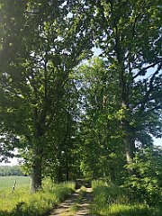 050_p20_IMG_20230608_083147