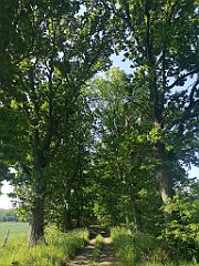 052_p20_IMG_20230608_083203