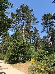 117_iP_230608_IMG_6845