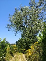 164_p20_IMG_20230608_130229