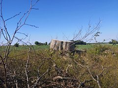 228_p20_IMG_20230608_164415