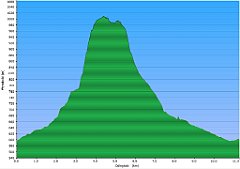 003_2023-06-18w_Lackowa