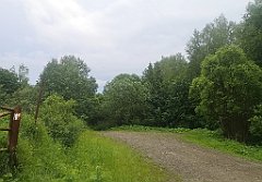 087_p20_IMG_20230618_151215