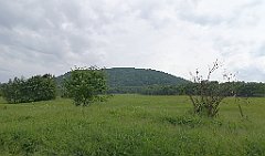 114_p20_IMG_20230618_152821