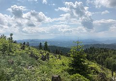 183_ip_230619_IMG_6899