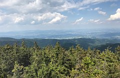 238_ip_230619_IMG_6914