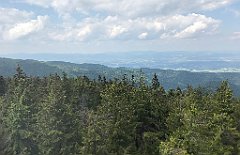 247_ip_230619_IMG_6922