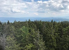 251_ip_230619_IMG_6936