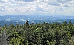 268_p20_IMG_20230619_142906