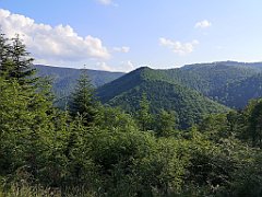 351_p20_IMG_20230619_172034