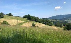 037_ip_230620_IMG_6947