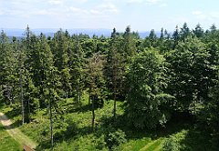 118_p20_IMG_20230620_130411