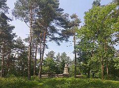 008_p20_IMG_20230621_102658